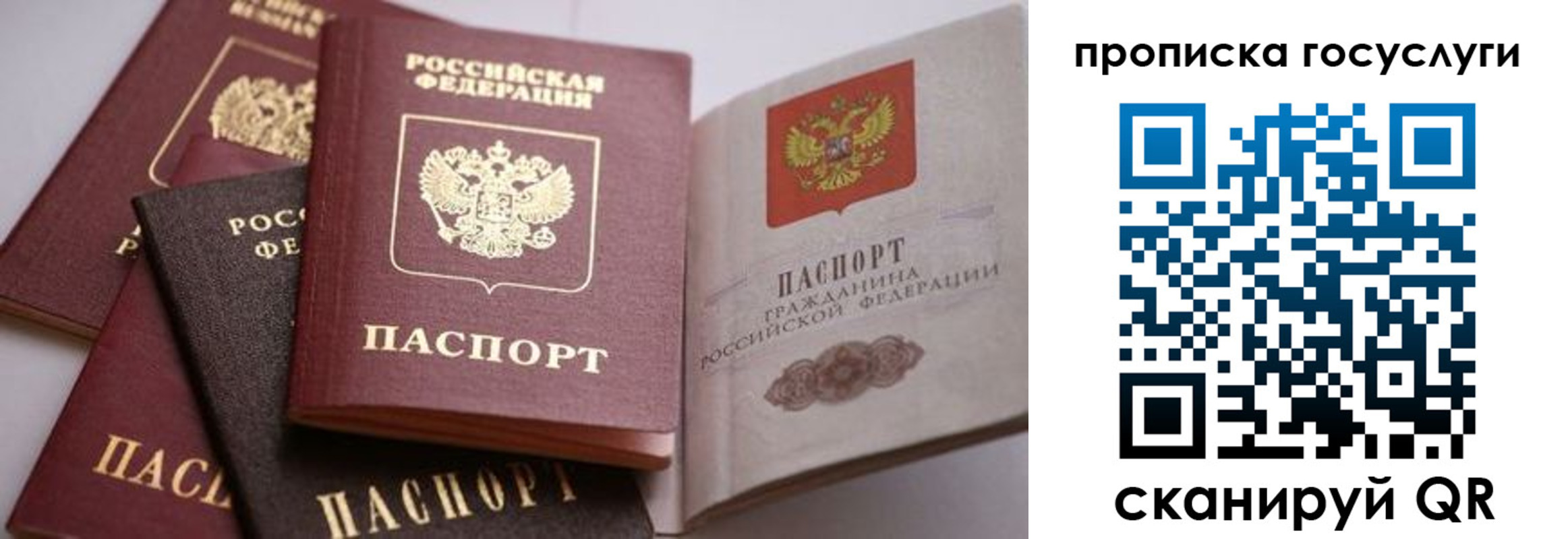 прописка иностранных граждан в Скопине